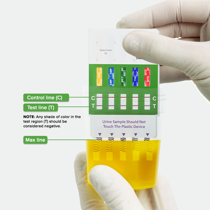 Multi-Drug Test Panel dipped in collection cup with urine