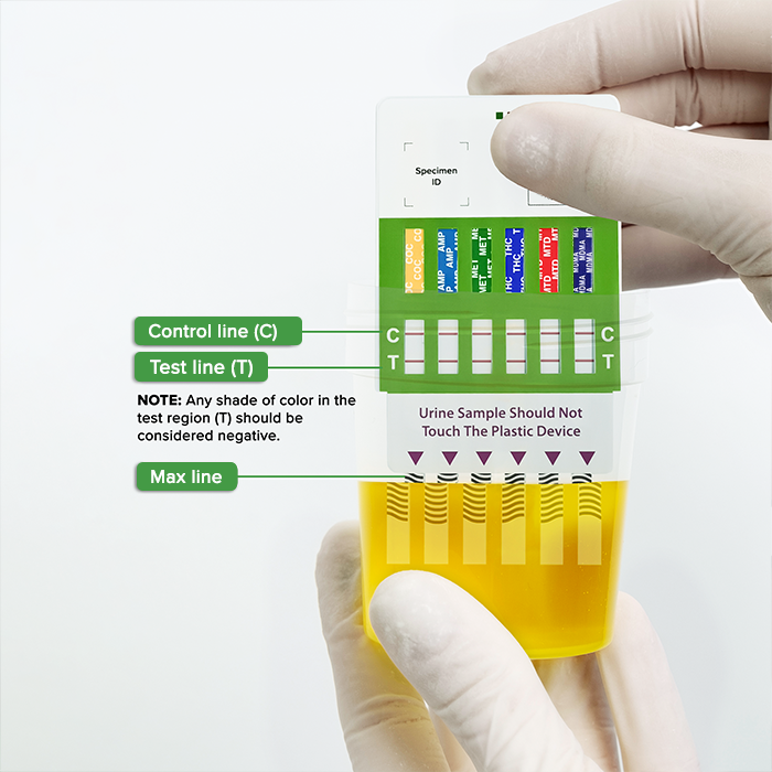 Multi-Drug Test Panel dipped in collection cup with urine