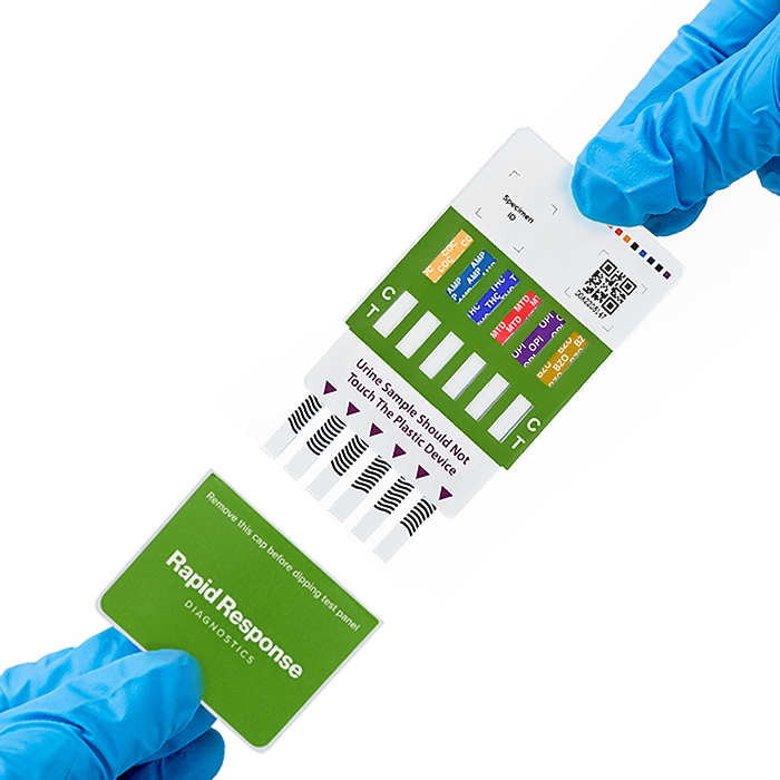 Gloves with Panel