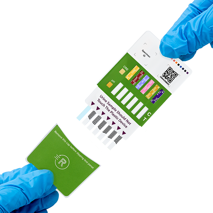 Gloves with Panel