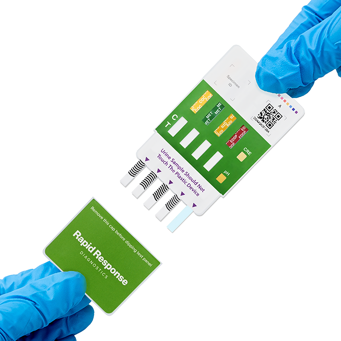 Gloves with Panel