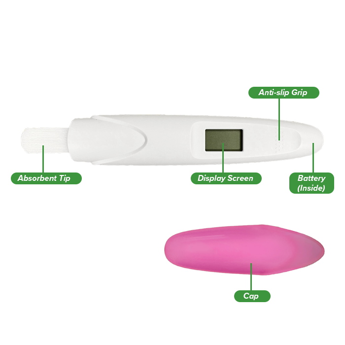 Digital Pregnancy Test Diagram