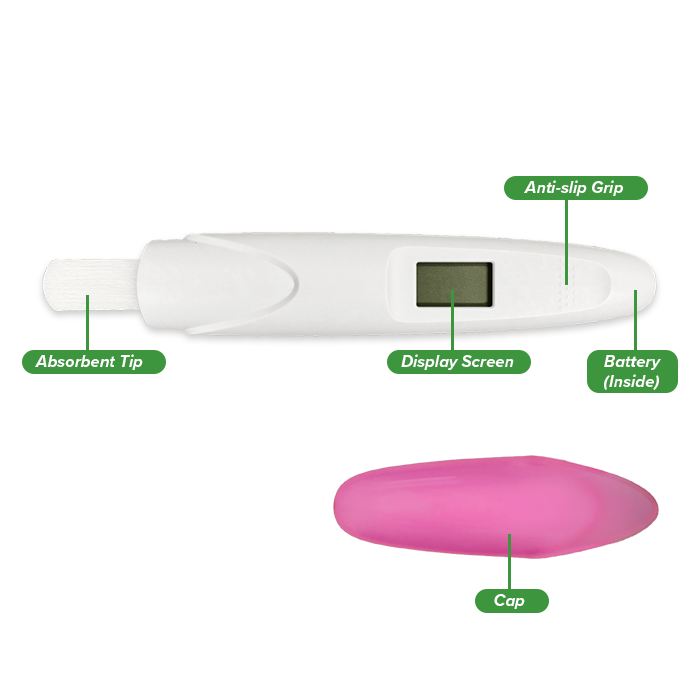 Digital Pregnancy Test Diagram