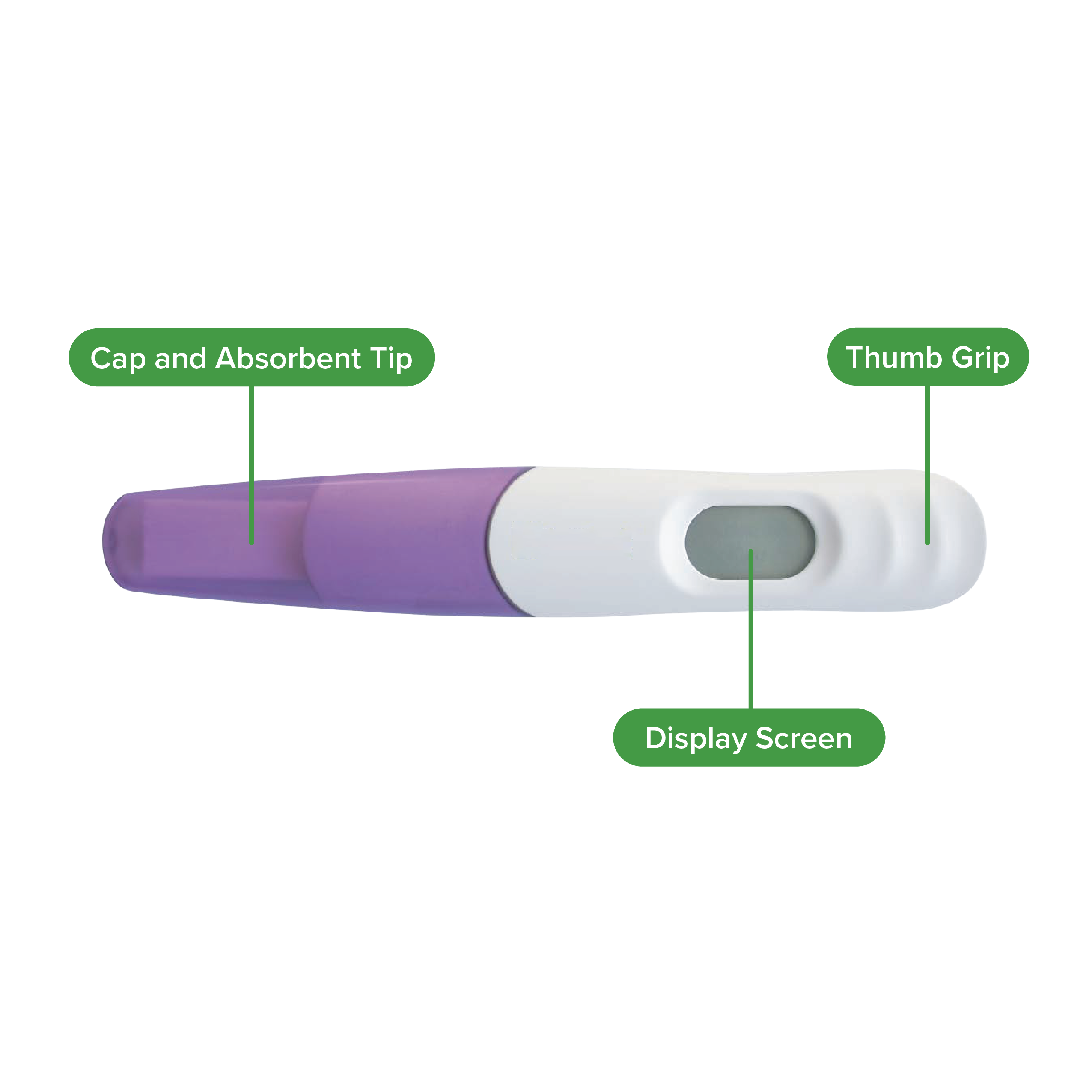 Digital Pregnancy Test Labeled
