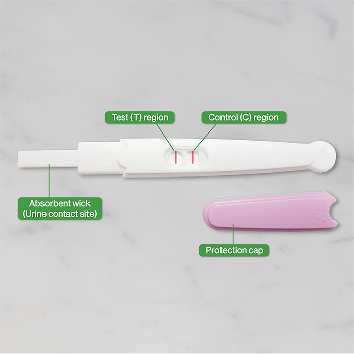 HCG Pregnancy Test Midstream Dip Stick infographic