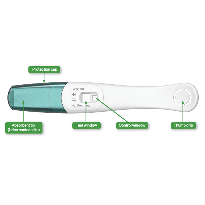 Rapid Response Pregnancy Test infographic