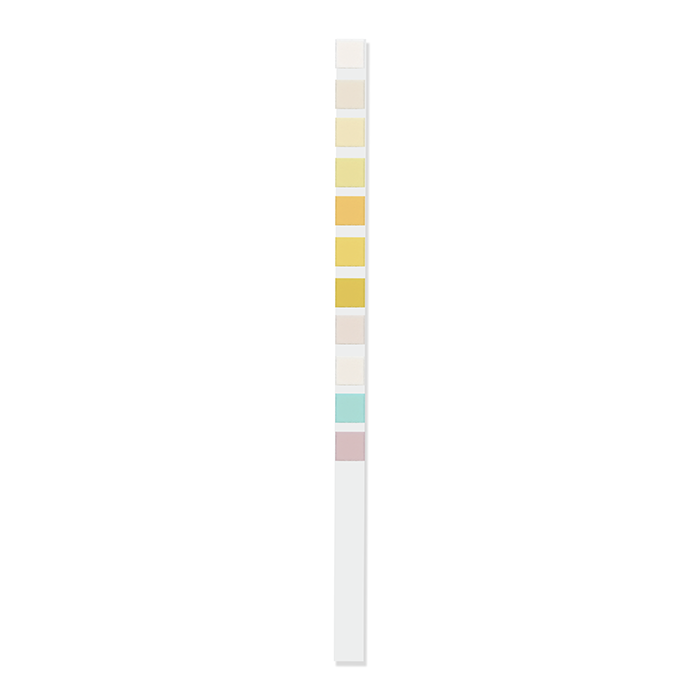 11 Parameter Urinalysis Reagent Strip Strip