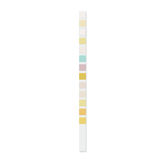 13 Parameter Urinalysis Strip 