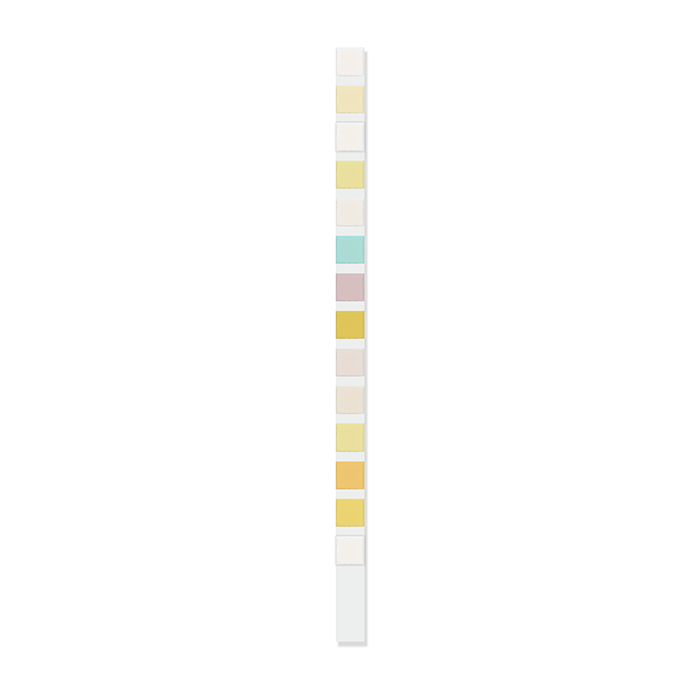 14 Parameter Urinalysis Strip