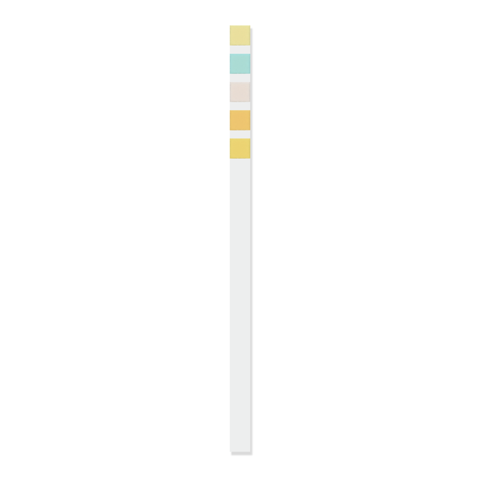 5 Parameter Urinalysis Reagent Strip