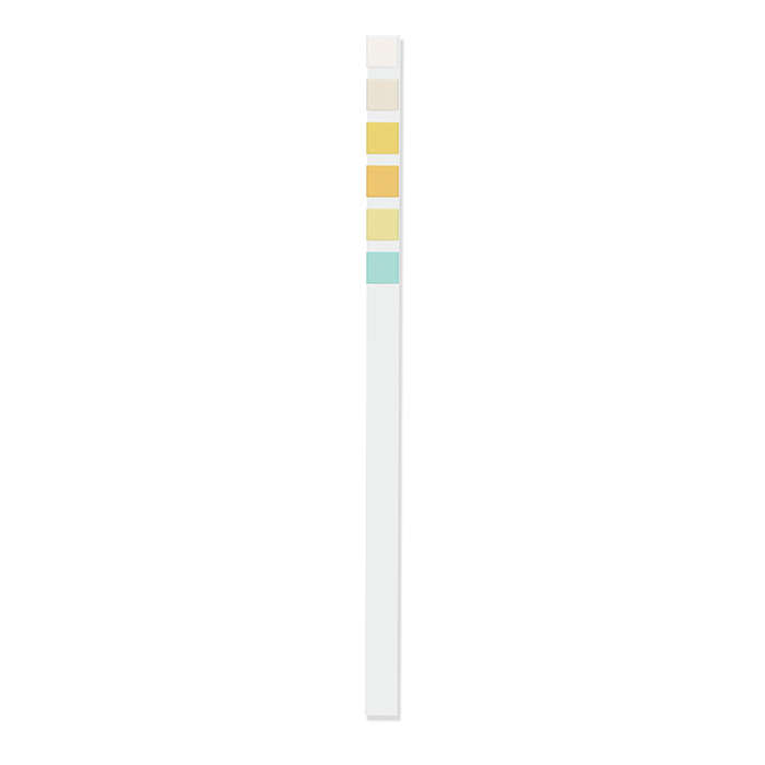 6 Parameter Urinalysis Strip