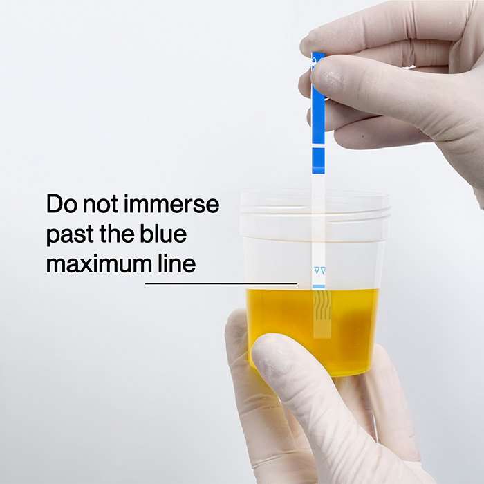 Single Drug Test Strip dipped in collection cup with urine